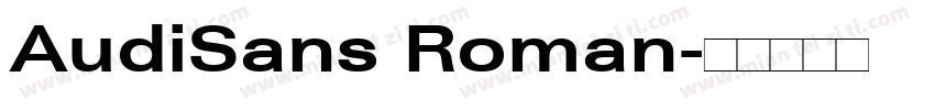 AudiSans Roman字体转换